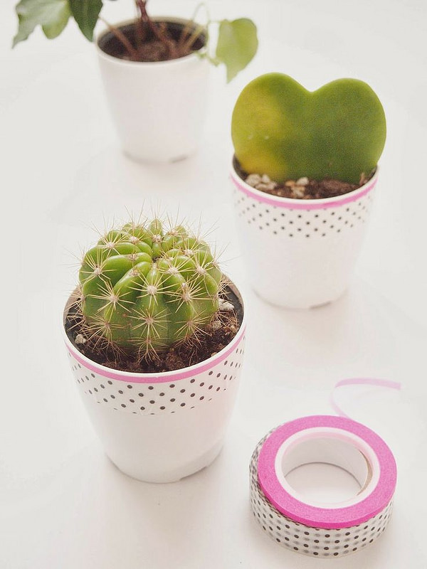 washi tape mini plant pots