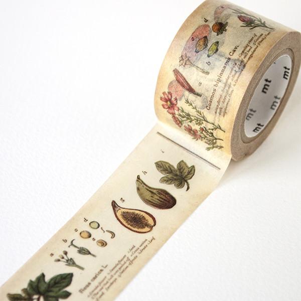 MT ex Plant Washi Tape | Fox and Star UK